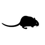 frozen gerbils line art