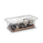 black crickets in a box