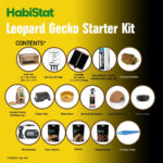 contents of the Habistat leopard gecko starter kit box