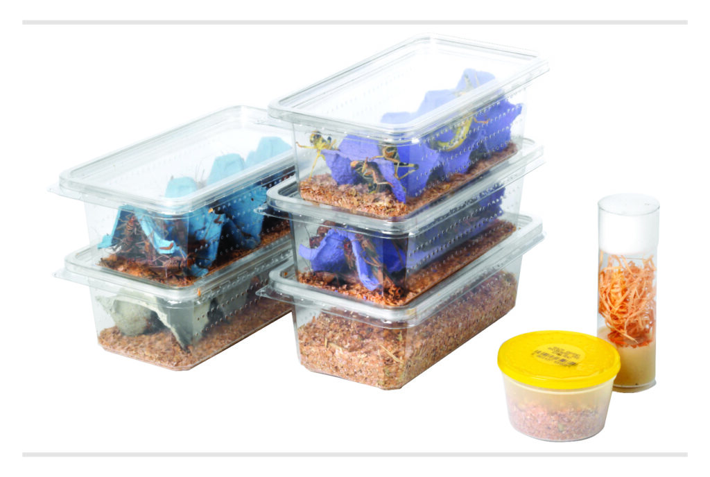 tubs of reptile food representing Livefood Care Sheet