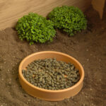 Habistat plastic food bowl inside of a reptile enclosure