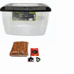 Komodo Basic Spider Starter Kit