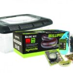 Komodo Basic Millipede Kit