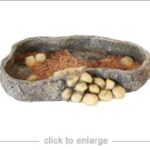 Rock Food Feeder