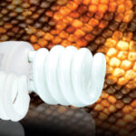 Exo Terra Reptile UVB 150 Desert Bulb