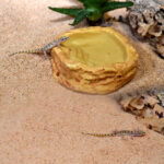 Habistat Sandstone Water Dish in an enclosure with a gecko climbing inside
