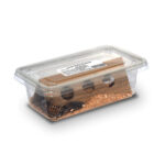 a box of roaches to feed to reptiles